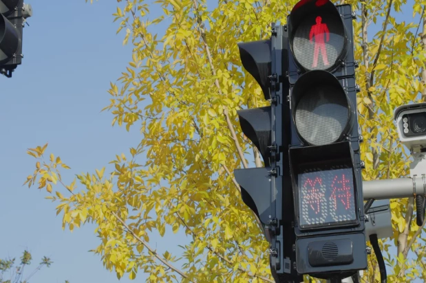 FAMA Audible Pedestrian Signals with Plastic Housing Reach Over 7,500 Units Sold in November, Deployed at More Than 1,000 Intersections FAMA Audible Pedestrian Signals with Plastic Housing Reach Over 7,500 Units Sold in November, Deployed at More Than 1,000 Intersections